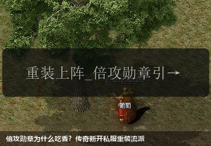 倍攻勋章为什么吃香?传奇新开私服重装流派