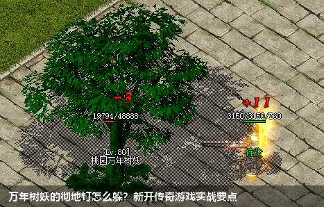 万年树妖的彻地钉怎么躲？新开传奇游戏实战要点