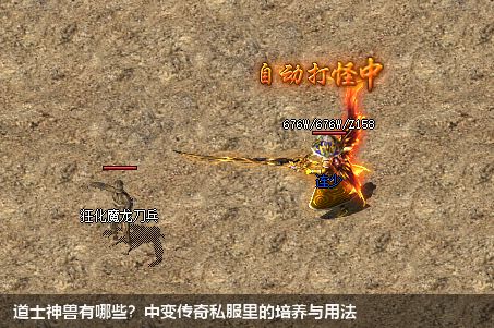 道士神兽揭秘：战斗中的强力伙伴