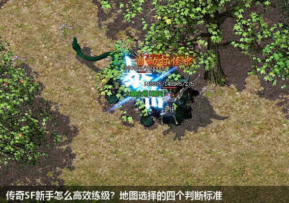 传奇SF新手必看：高效练级从地图选择开始
