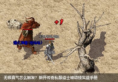 无极真气怎么触发?新开传奇私服道士被动技实战手册