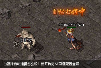 新开传奇SF白野猪自动挂机攻略：2026高效刷怪设置技巧