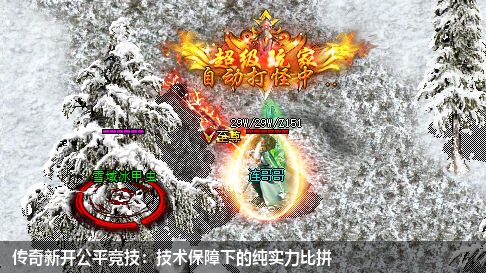 传奇新开公平竞技，实力比拼唯一选择