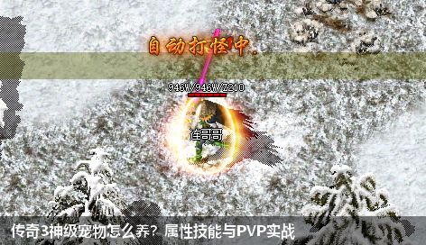 传奇3神级宠物怎么养？属性技能与PVP实战