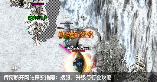 传奇新开网站探索指南：搜服、升级与行会攻略
