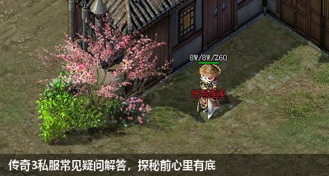 探秘传奇3私服：独家问答揭秘