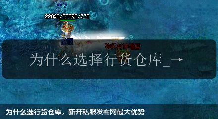 为什么选行货仓库，新开私服发布网最大优势