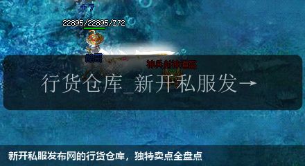 新开私服发布网的行货仓库,独特卖点全盘点
