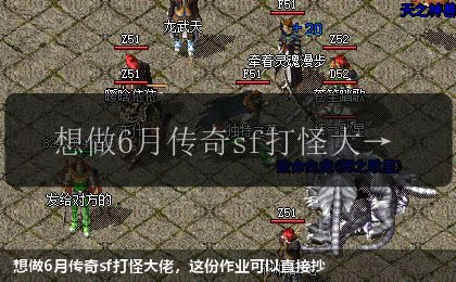 想做6月传奇sf打怪大佬,这份作业可以直接抄