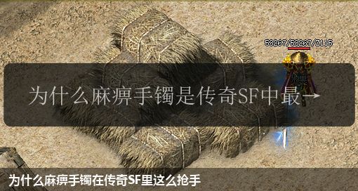 为什么麻痹手镯在传奇SF里这么抢手