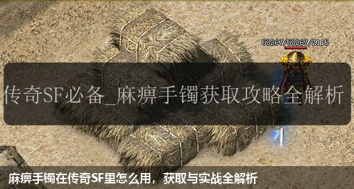 麻痹手镯在传奇SF里怎么用,获取与实战全解析