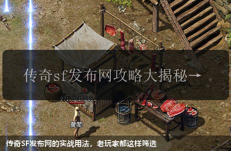 传奇SF发布网的实战用法,老玩家都这样筛选