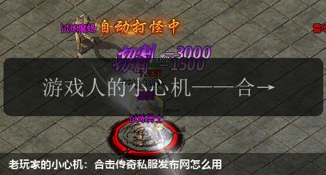 老玩家的小心机:合击传奇私服发布网怎么用