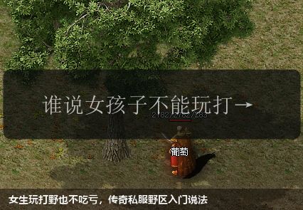 女生玩打野也不吃亏,传奇私服野区入门说法